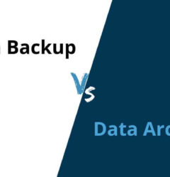 Data Backup or Data Archive: What your business needs?