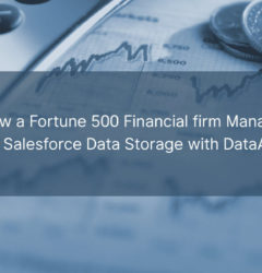 DataArchiva for Financial Industry: How a Fortune 500 Financial firm Managed their Salesforce Data Storage