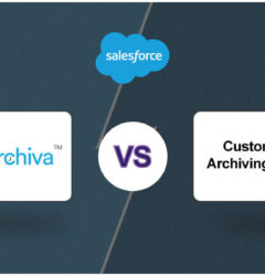 Why should you consider DataArchiva for Salesforce Data Archiving & not a Custom Solution?