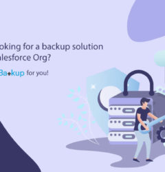 Are you looking for a backup solution for your Salesforce Org? Here is DataBakup for you!